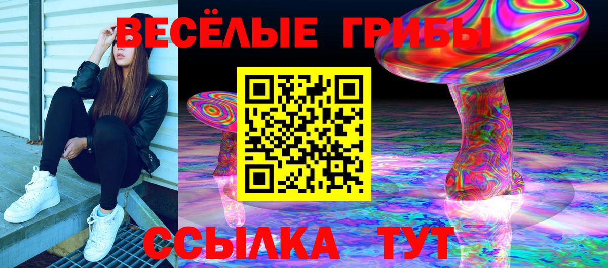 Псилоцибиновые грибы Magic Shrooms  Вход с VPN  Королёв 